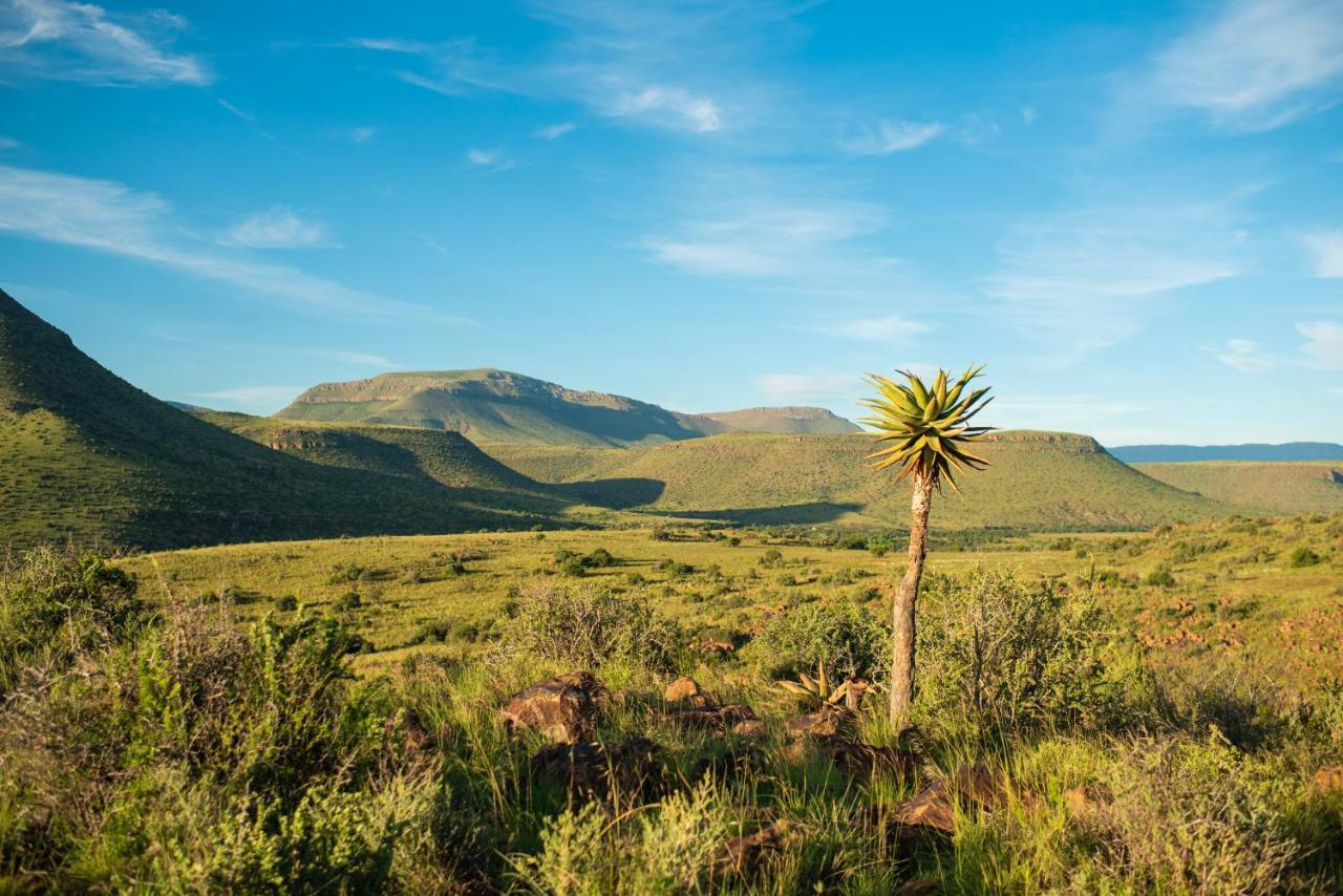 Glen Harry Game Reserve Graaff Reinet Exterior photo