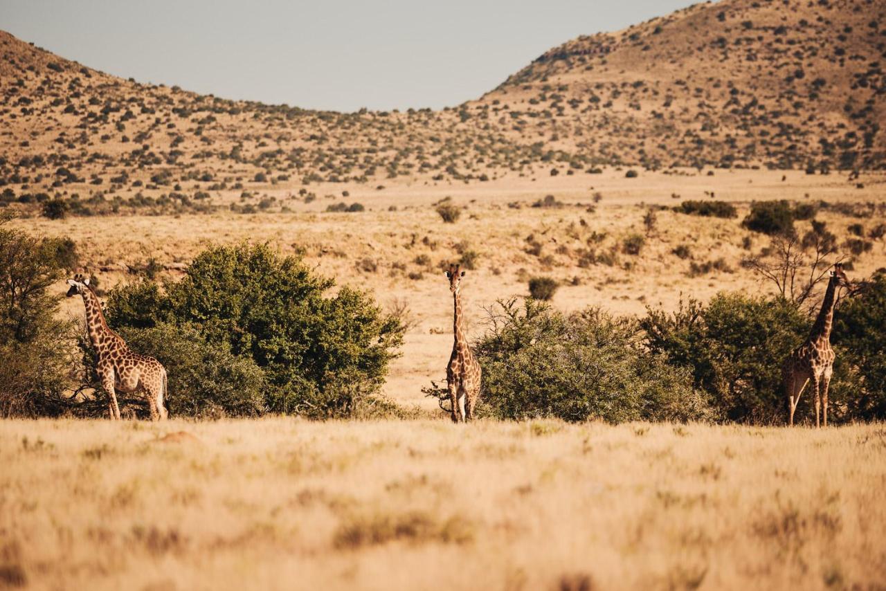 Glen Harry Game Reserve Graaff Reinet Exterior photo